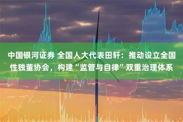 中国银河证券 全国人大代表田轩：推动设立全国性独董协会，构建“监管与自律”双重治理体系