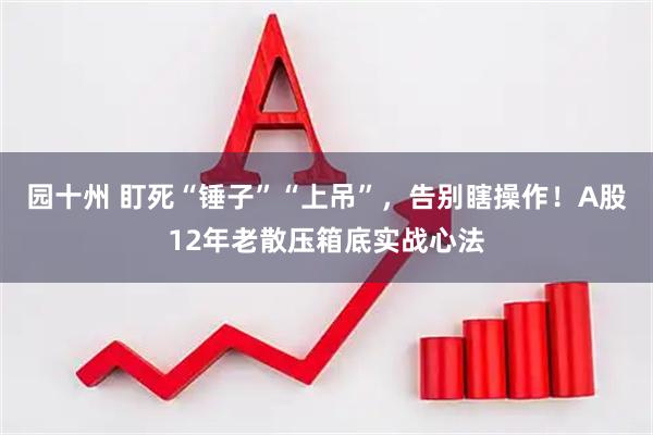 园十州 盯死“锤子”“上吊”，告别瞎操作！A股12年老散压箱底实战心法
