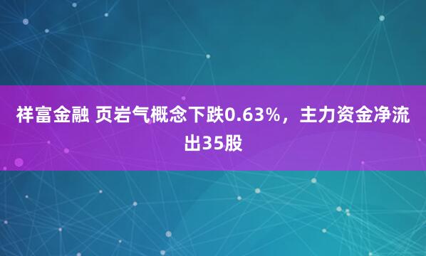 祥富金融 页岩气概念下跌0.63%，主力资金净流出35股