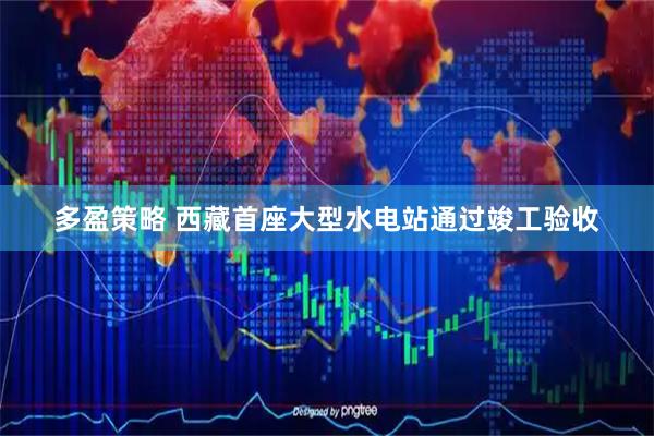 多盈策略 西藏首座大型水电站通过竣工验收