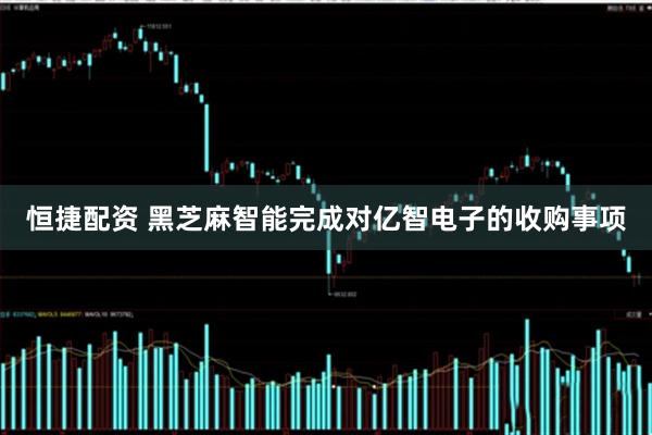 恒捷配资 黑芝麻智能完成对亿智电子的收购事项